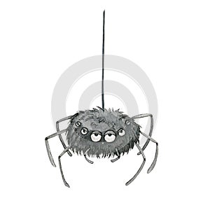 Funny spider cartoon image. Watercolor illustration. Spooky scary animal on the web element. Black hairy comic spider