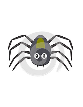 Funny spider character