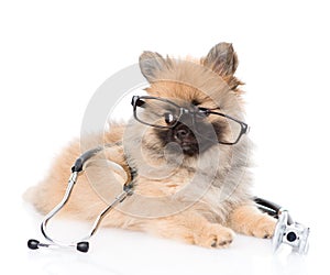 Funny spitz puppy lying with a glasses and stethoscope on his neck. isolated on white