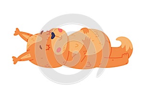 Funny Squirrel Character with Bushy Tail Lying with Full Belly Vector Illustration