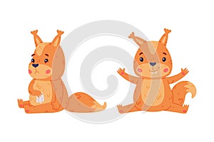 Funny Squirrel Character with Bushy Tail Smiling and Sitting with Sad Face Vector Set