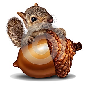 Funny Squirrel holding a Giant Acorn