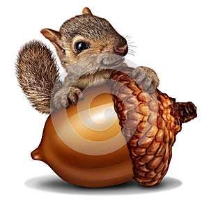 Funny Squirrel holding a Giant Acorn photo