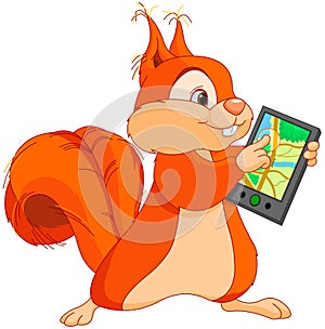 Funny squirrel with navigator photo