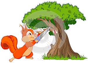 Funny squirrel saws branch