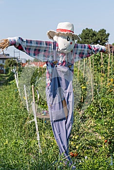 Funny straw scarecrow