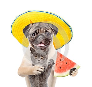 Funny summer dog embracing cat and holding a watermelon in his paws. isolated on white background