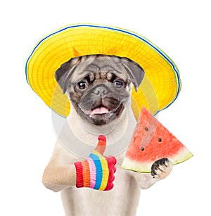 Funny summer dog with hat holding watermelon and showing thumbs