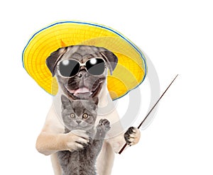 Funny summer dog with pointing stick hugging a kitten