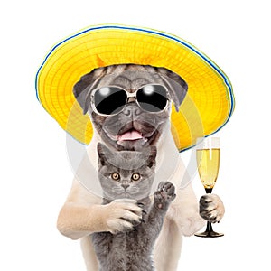 Funny summer dog in sunglasses with a glass of champagne hugging a kitten. isolated on white background