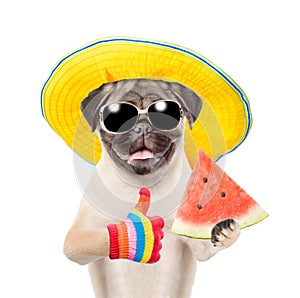 Funny summer dog in sunglasses and hat holding watermelon and showing thumbs