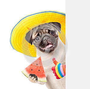 Funny summer dog in sunglasses and hat peeking, holding watermelon and showing thumbs. isolated on white background