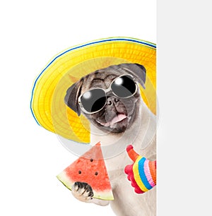 Funny summer dog with sunglasses holding watermelon peeking from behind empty board and showing thumbs up