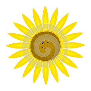 Funny sunflower in cartoon style. Vector illustration on a white background