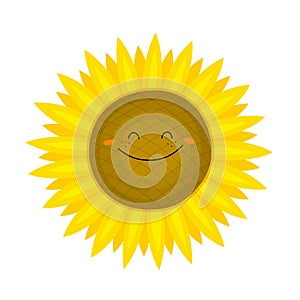 Funny sunflower in cartoon style. Vector illustration on a white background