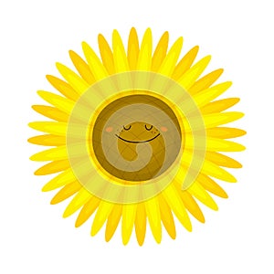 Funny sunflower in cartoon style. Vector illustration on a white background