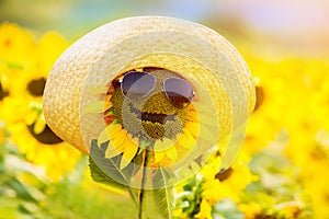 Funny sunflower in glasses and a hat, smiling