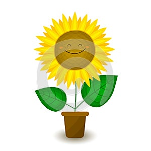 Funny sunflower in a pot. Decorative smiling plant. Vector