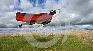Funny Superhero Dog, Flying Bulldog