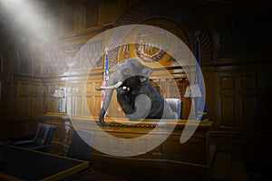 Funny Surreal Elephant Judge, Lawyer, Courtroom, Law