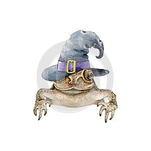 Funny toad or frog in witch hat. Hand drawn watercolor illustration. Funny peeking out frog in wizard hat. Single front