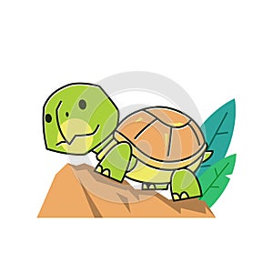 Funny Tortoise Turtle Walking Climbing Rock Exotic Reptile Cartoon
