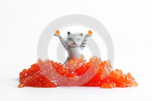 Funny toy cat and a bunch of red caviar on a white background. Comic concept of choosing products for New Year`s and Christmas