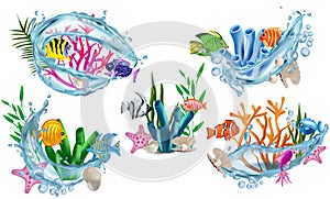 Funny Tropicals colorful fish, seaweed, corals, starfish, shell with pearl, shell, water splash. Underwater world