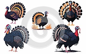 funny TURKEY Silhouettee Vector Illustration Design,very detaited graphics photo