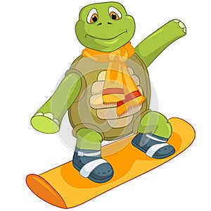 Funny Turtle. Snowboarding.