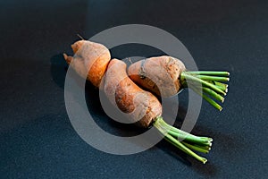 Unique peace of the natur - Embracement of two carrots photo