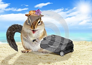 Funny vacationist, animal chipmunk with suitcase at beach