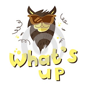 Funny vector cat in sunglasses illustration