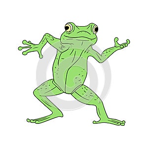 Funny vector illustration of frog dancing isolated on white background