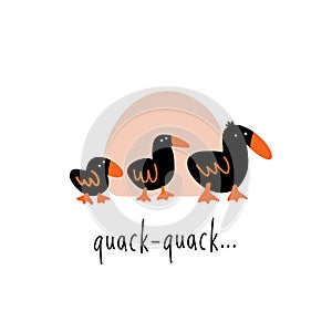 Funny vector illustration of three walking ducks. Phrase quack Quack. photo
