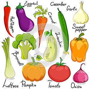 Funny vegetable cartoon isolated