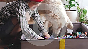Funny video. love for pets. a big white dog helps little boy to look for details for a lego constructor.