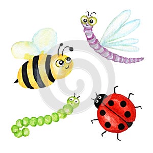 Funny watercolor, bright cartoon insects collection. Wasp, bee, bumblebee, worm, caterpillar, ladybug, dragonfly.