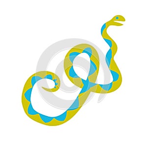 Funny wavy colored snakes in cartoon flat style isolated on white. photo