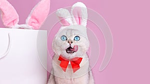 A funny white cat in a hat with bunny ears and a red bow tie,licks the muzzle with his tongue