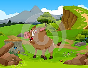Funny Wild boar cartoon in the jungle with landscape background