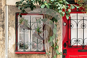 Funny window and unusual plant pots, Lisbon, Portugal