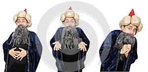 The funny wise wizard isolated on the white