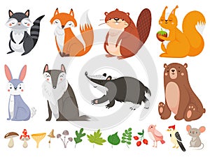 Funny wood animals. Wild forest animal, happy woodland fox and cute squirrel vector cartoon illustration set