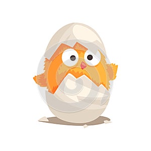 Funny yellow newborn chicken in broken egg shell