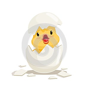 Funny yellow newborn chicken in broken egg shell, cute emoji character vector Illustration