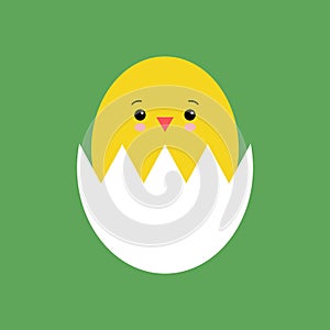 Funny yellow newborn chicken in broken egg shell kawaii