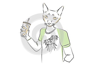 Funny young cat in fashionable T-shirt hand holding large paper cup with soda and straw. School friends party, birthday