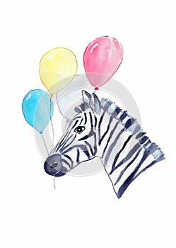 Funny zebra with balloons