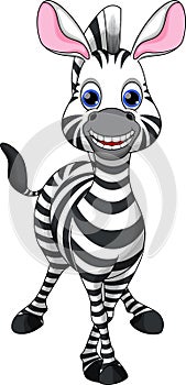 Funny zebra cartoon